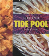 Life in a Tidepool
