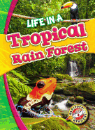 Life In A Tropical Rain Forest