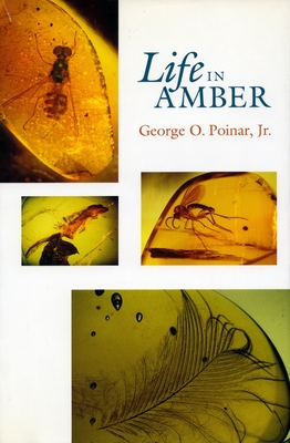 Life in Amber - Poinar, George O, Jr.