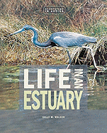 Life in an Estuary
