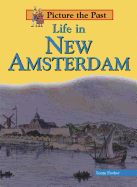 Life in New Amsterdam