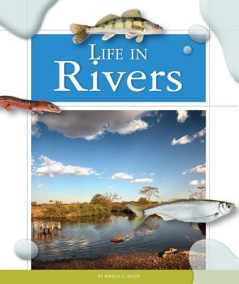 Life in Rivers - Miller, Mirella S