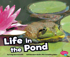 Life in the Pond