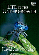 Life in the Undergrowth