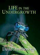 Life in the Undergrowth
