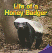 Life of a Honey Badger