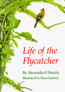 Life of the Flycatcher
