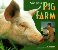 Life on a Pig Farm
