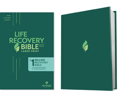 Life Recovery Bible NLT, Large Print