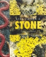 Life Under a Stone