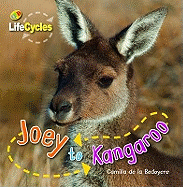 Lifecycles: Joey to Kangaroo