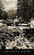 Lifes Little Pebbles