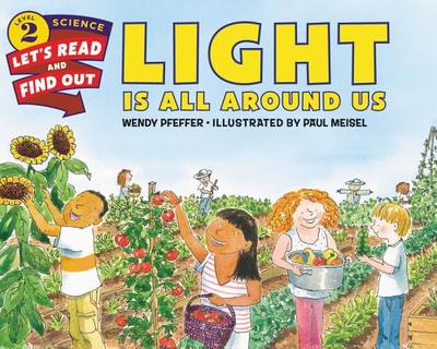 Light Is All Around Us - Pfeffer, Wendy, Professor