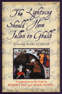 Lightning Should Have Fallen on Ghalib