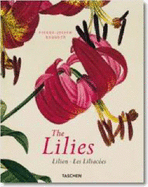 Lilies