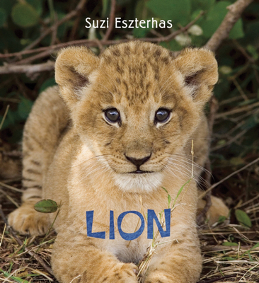 Lion - Eszterhas, Suzi (Photographer)