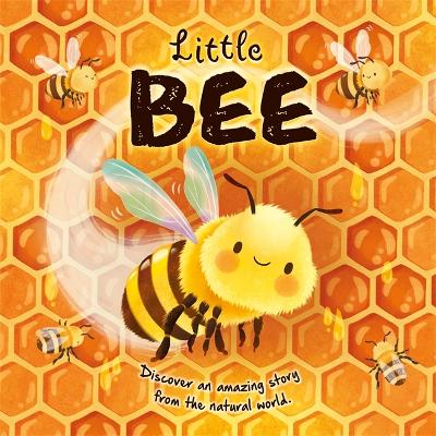 Little Bee - Autumn Publishing