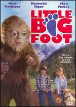 Little Bigfoot