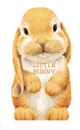 Little Bunny