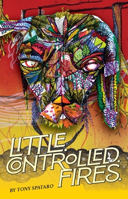 Little.Controlled.Fires. - Spataro, Tony