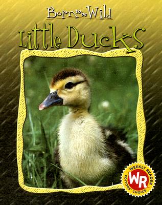 Little Ducks - Royer, Anne