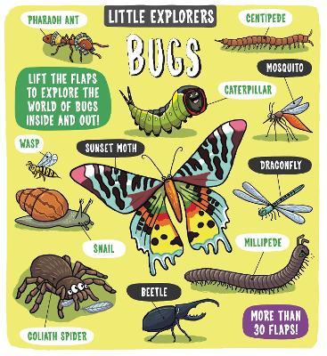Little Explorers: Bugs - Ltd., Dynamo (Illustrator)