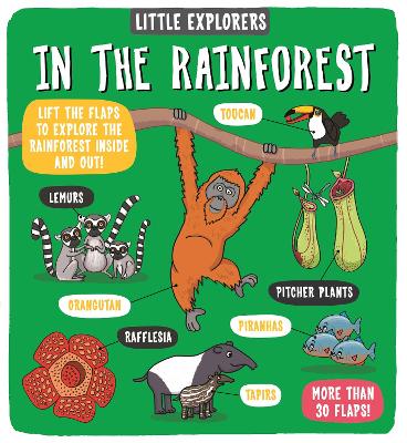 Little Explorers: In the Rainforest - Ltd., Dynamo (Illustrator)