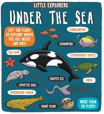 Little Explorers: Under the Sea - Ltd., Dynamo (Illustrator)