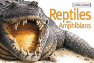 Little Gde: Reptiles and Amphibians