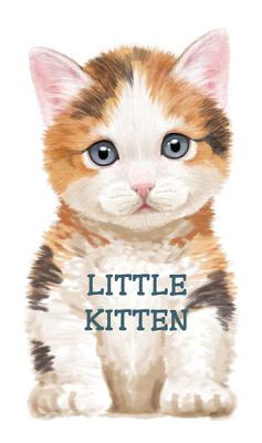 Little Kitten - Rigo, L