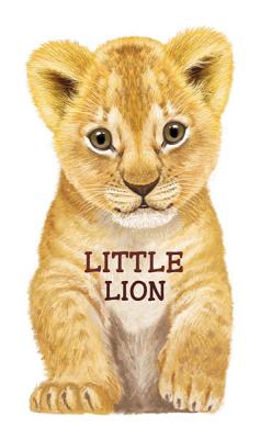 Little Lion - Rigo, L