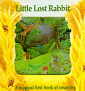 Little Lost Rabbit