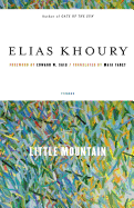 Little Mountain