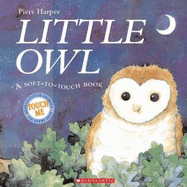 Little Owl - 