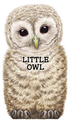 Little Owl - Rigo, L