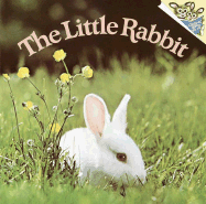 Little Rabbit