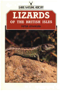 Lizards of the British Isles