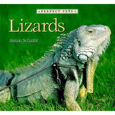 Lizards - Schafer, Susan
