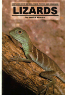 Lizards