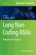 Long Non-Coding RNAs: Methods and Protocols
