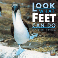 Look What Feet Can Do