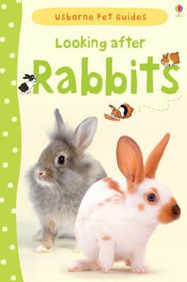 Looking after Rabbits - Patchett, Fiona
