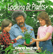 Looking at Plants
