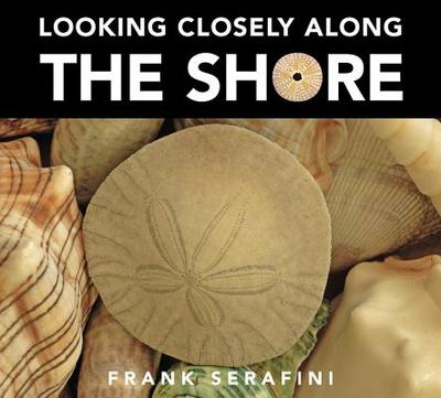 Looking Closely Along the Shore - 