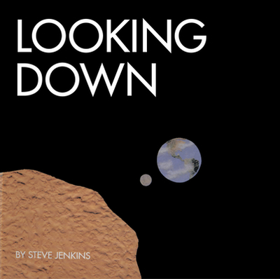 Looking Down - Jenkins, Steve