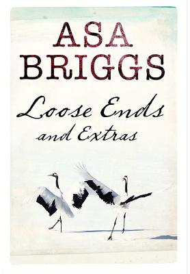 Loose Ends and Extras - Briggs, Asa