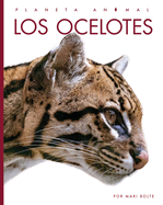 Los Ocelotes