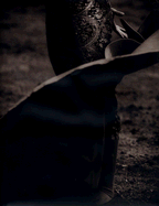 Los Toros - Crouser, Michael (Photographer), and Llosa, Mario Vargas (Introduction by)