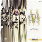 Lost in Meditation: Meditative Gregorian Chants, Vol. 2