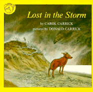 Lost in the Storm
